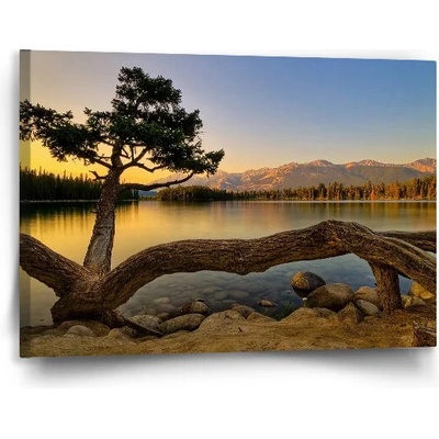 Sablio Obraz Strom pri jazere - 90x60 cm