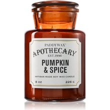 Paddywax Apothecary Pumpkin Spice 226 g