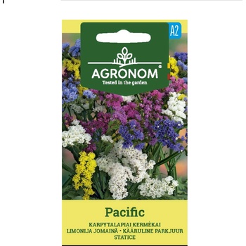 Image 1 of Seklos Лимониум Пасифик Limonium sinuatum Pacific