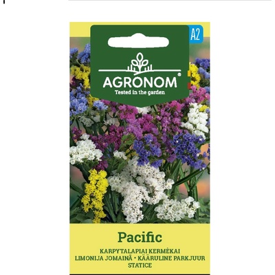 Seklos Лимониум Пасифик Limonium sinuatum Pacific