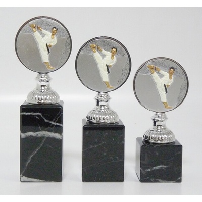 VIZINGR Karate trofeje 50-FG005 50-FG005/19 cm