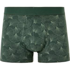 Celio Боксерки Miboginko Celio | Zelen | МЪЖЕ | S