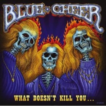 BLUE CHEER: WHAT DOESNT KILL YOU ? CD