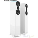 Acoustic Energy AE509