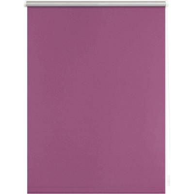 Lichtblick Termo zatemňovací roleta, fuchsiová, 50 x 150 cm