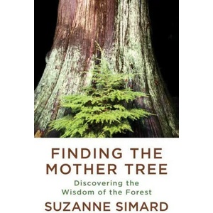 Finding the Mother Tree (ISBN: 9780525565994)