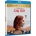 Lady Bird BD