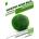 Marimo Moss Ball