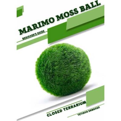 Marimo Moss Ball