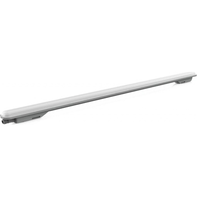 Müller-Licht 20300548