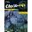 Close-Up A1+ Workbook