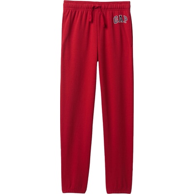 GAP V-frch heritage logo xl
