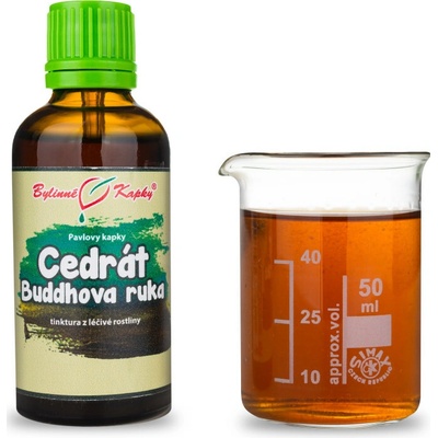 Cedrát buddhova ruka TCM kvapky tinktúra 50 ml