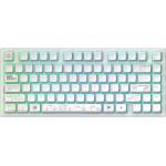 Dark Project ALU81A Terra Nova White RGB (FSH-DP-KD-NOVA81-WHITE) Клавиатури