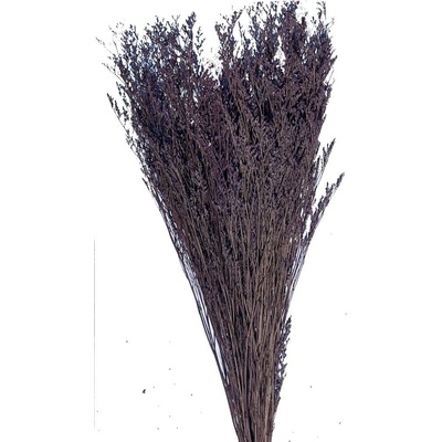 Caspia 100 g - fialová