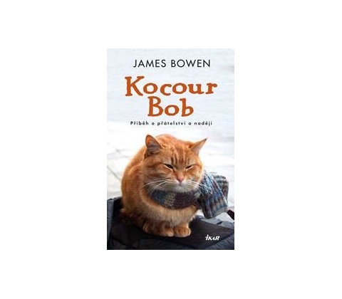 Kocour Bob
