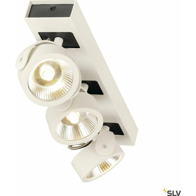 SLV 1000132
