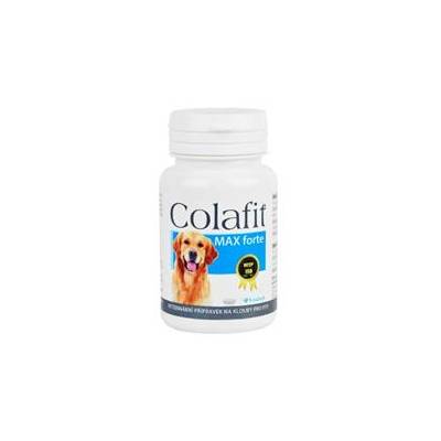 Colafit 4 Max Forte 100tbl - exp. 10/24 - 2ks skladem