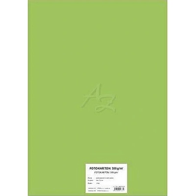 STEPA Barevný karton EXTRA 300g 50x70cm - světle zelený 10listů