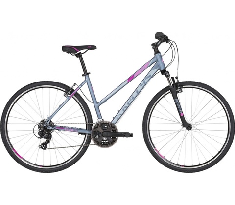 Kellys Clea 10 2022
