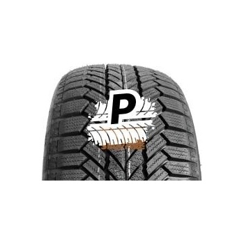 Giti Winter W1 225/45 R18 95V