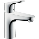 Hansgrohe Focus 31517000