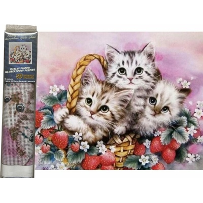 Norimpex Koťata v jahodách 40 × 30 cm