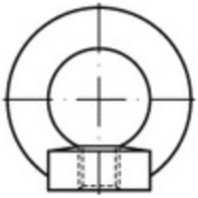 TOOLCRAFT TO-9981873 závesné oká M20 DIN 582 ocel pozinkované žiarom 10 ks
