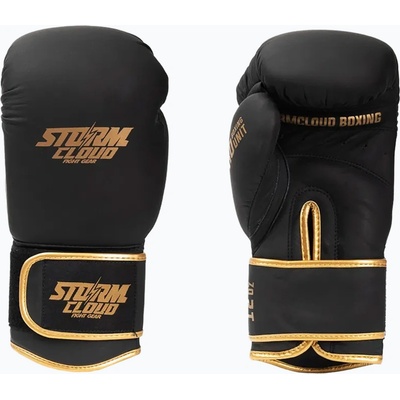 Storm Cloud Boxing Pro