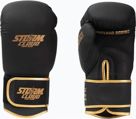 Storm Cloud Boxing Pro
