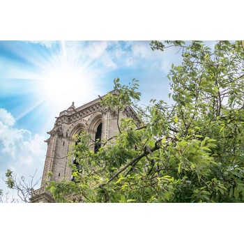 DIMEX ART Флизелинов фототапет нотр дам 375 x 250 см