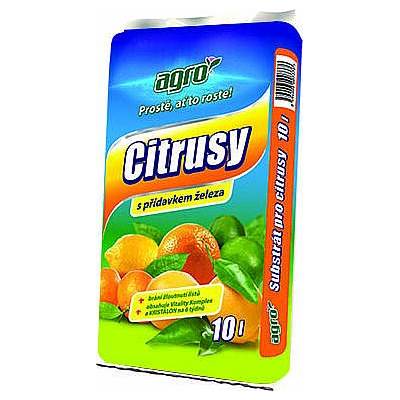 Obchod S Citrusy (citrusových plodů, obchodu citrusy, rodu Citrus, imunitního systému) Obchod S Citrusy