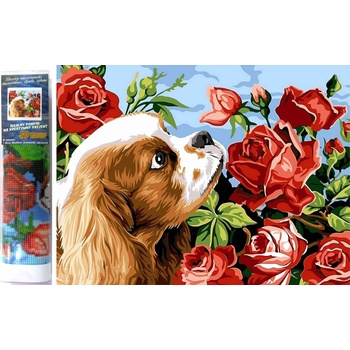 Norimpex - Puzzle Diamant painting: Cavalier King Charles spaniel 30x40cm - 1 - 39 piese