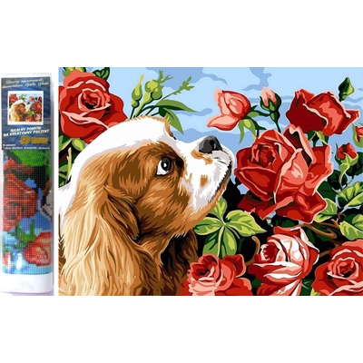 Norimpex - Puzzle Diamant painting: Cavalier King Charles spaniel 30x40cm - 1 - 39 piese