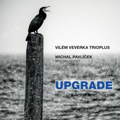 Vilém Veverka TRIOplus, Michal Pavlíček: Upgrade - CD