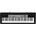 Casio CTK 1500