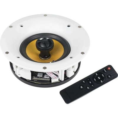 BS ACOUSTIC WS560WF
