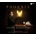WAWROWSKI, JANUSZ - PHOENIX CD