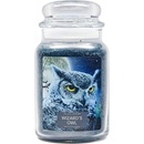 Village Candle Wizard´s owl 645 g