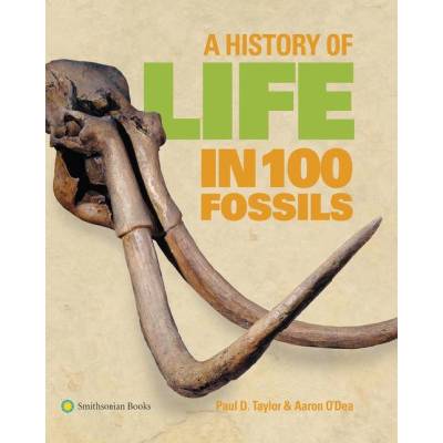 A History of Life in 100 Fossils | Aaron O'Dean