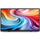 Acer PM161QTb