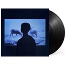 Jumo - MEMORY LP