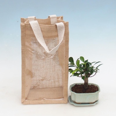 e-bonsai Pokojová bonsai v dárkové tašce - JUTA Fíkusy-Ficus retusa