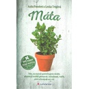 Máta
