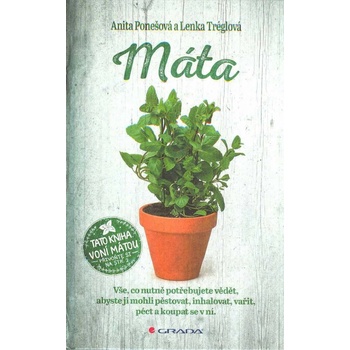 Máta