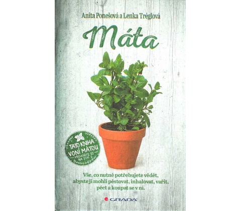 Máta