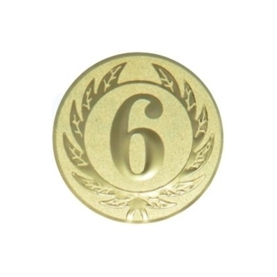 Kovový emblém 6. místo 099
