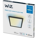 WiZ WI0065