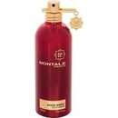 Montale Paris Aoud Shiny parfémovaná voda unisex 100 ml