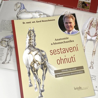 Anatomie a biomechanika sestavení a ohnutí (Gerd Heuschmann) – Hledejceny.cz